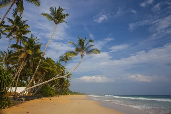 Praia tropical — Fotografia de Stock