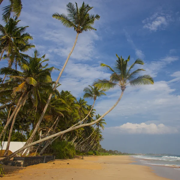 Praia tropical — Fotografia de Stock