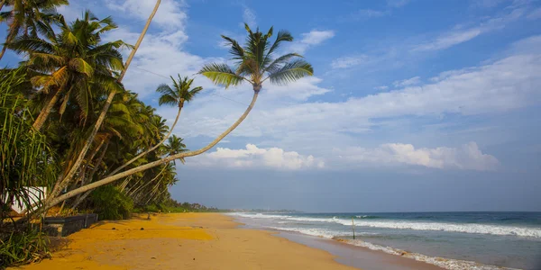 Tropical beach — Stock Photo, Image