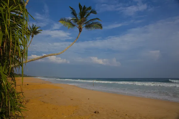 Tropical beach — Stock Photo, Image