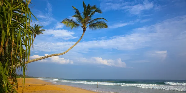 Praia tropical — Fotografia de Stock