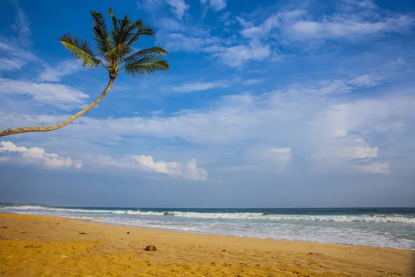 Spiaggia tropicale — Foto Stock