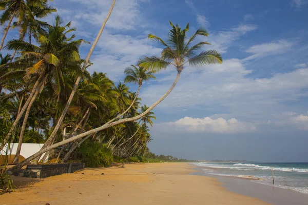 Tropical beach — Stock Photo, Image