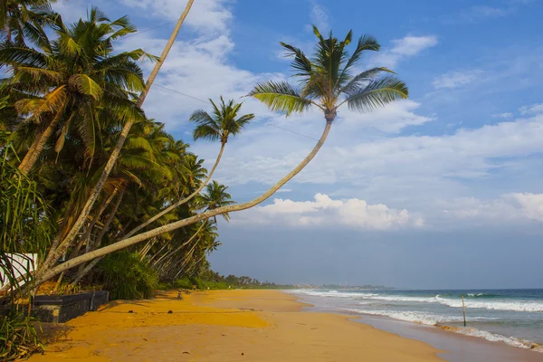 Playa tropical —  Fotos de Stock