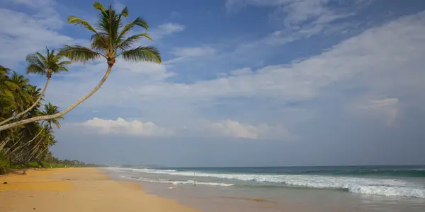 Tropical beach — Stock Photo, Image