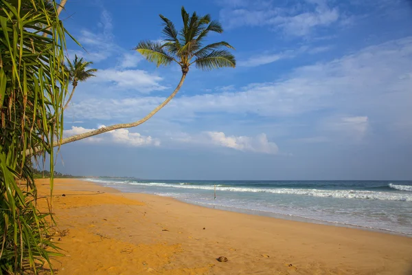 Tropical beach — Stock Photo, Image