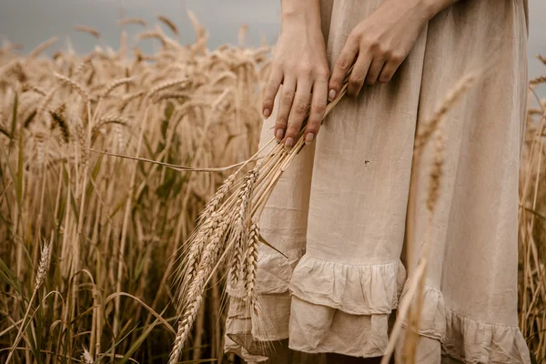 Спелые уши пшеницы в руках женщины — стоковое фото
