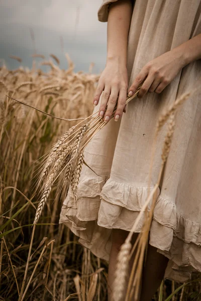 Matura il grano di spighe in mani di donna — Foto Stock