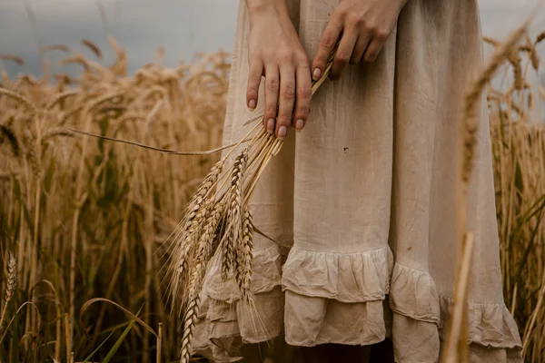 Ripe ears wheat in woman hands — Stock Photo, Image