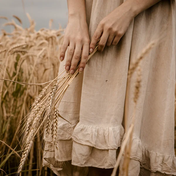 Matura il grano di spighe in mani di donna — Foto Stock