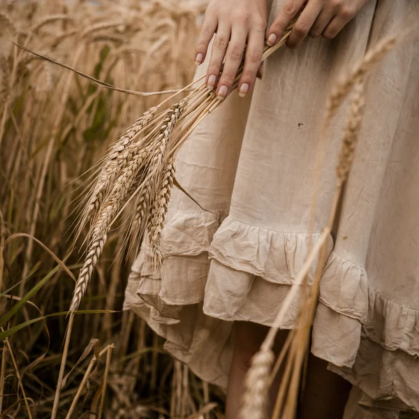 Oreilles mûres blé dans les mains de la femme — Photo