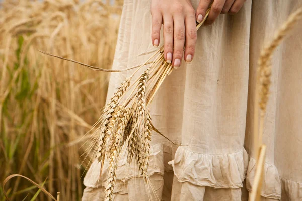 Oreilles mûres blé dans les mains de la femme — Photo