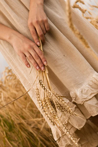 Oreilles mûres blé dans les mains de la femme — Photo