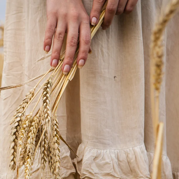 Dojrzałe kłosy pszenicy w ręce kobiety — Zdjęcie stockowe