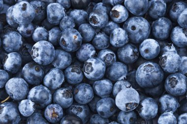 Taze, sulu yaban mersini arkaplanı