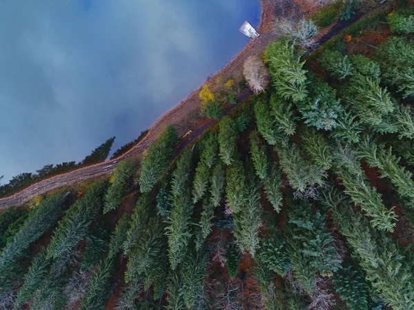 Synevyr湖の頂上ビューは クワッドコプターで撮影 カルパティア ウクライナ — ストック写真