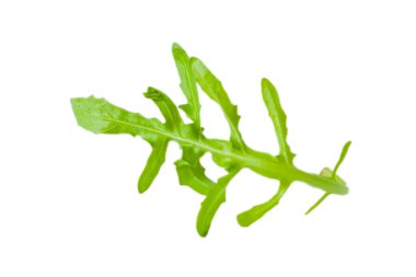 Taze yeşil atugula (rukkola) yaprakları izole