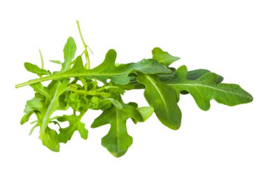 Taze yeşil atugula (rukkola) yaprakları izole