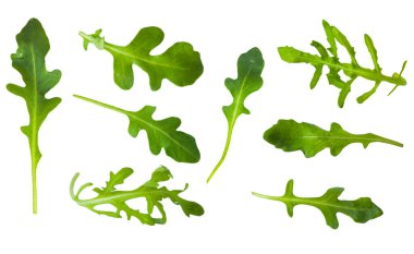 Taze yeşil atugula (rukkola) yaprakları izole