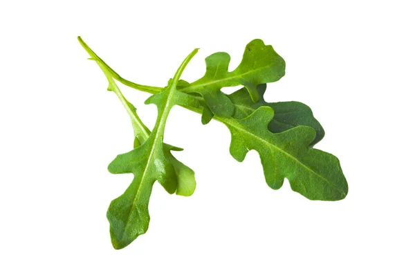 Fresh Green Atugula Rukkola Leaves Iisolated — Stock Photo, Image