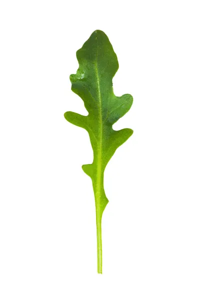 Taze Yeşil Atugula Rukkola Yaprakları Izole — Stok fotoğraf