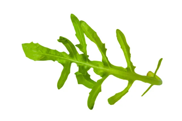 Frisch Grüner Atuula Rukkola Blätter Isoliert — Stockfoto