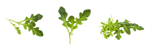 Fresh Green Atugula Rukkola Leaves Iisolated — Stock Photo, Image