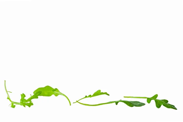 Свіжий Зелений Атогула Руккола Листя Ізольовані — стокове фото