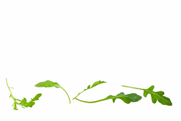 新鲜的绿杜鹃 Rukkola 叶子被隔离 — 图库照片