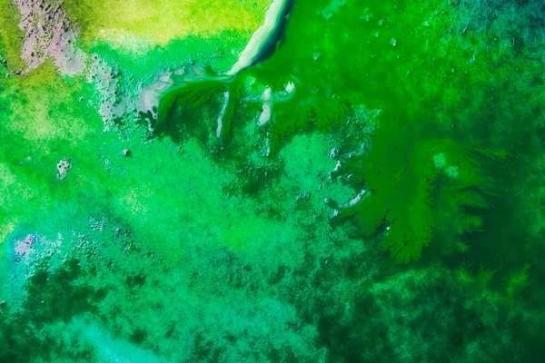 Абстрактний Синьо Зелений Акварельний Живопис — стокове фото