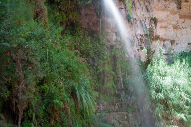 Ein Gedi 'de şelale ve kayalar