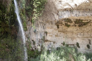 Ein Gedi 'de şelale ve kayalar