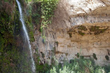 Ein Gedi 'de şelale ve kayalar