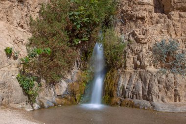 Ein Gedi 'de şelale ve kayalar