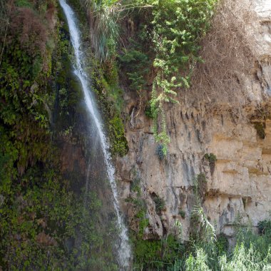Ein Gedi 'de şelale ve kayalar