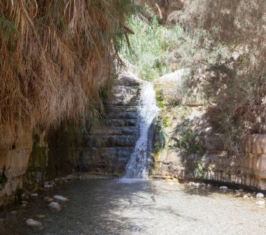 Ein Gedi 'de şelale ve kayalar