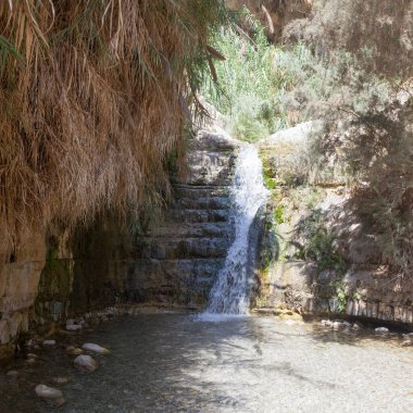 Ein Gedi 'de şelale ve kayalar
