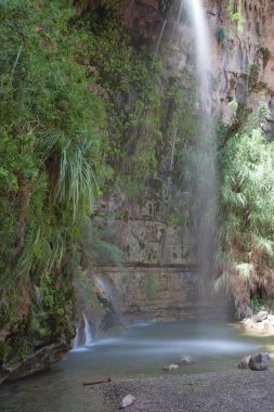 Ein Gedi 'de şelale ve kayalar