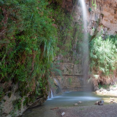 Ein Gedi 'de şelale ve kayalar