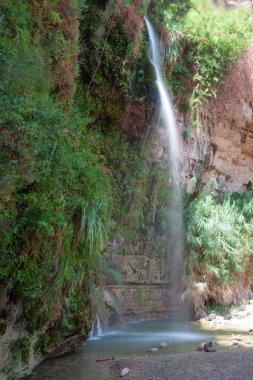 Ein Gedi 'de şelale ve kayalar