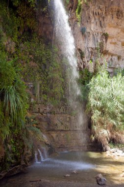 Ein Gedi 'de şelale ve kayalar
