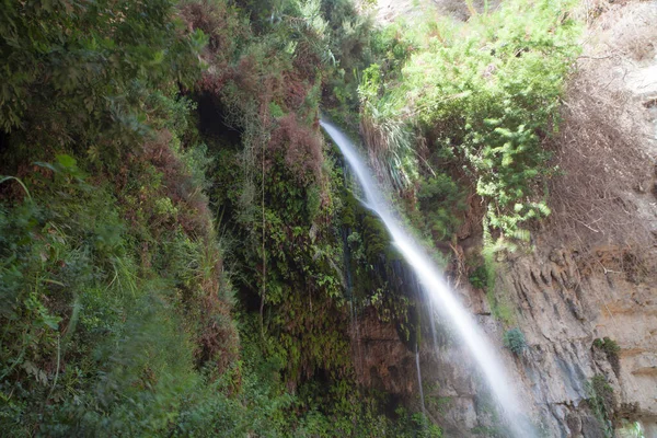 Waterfalls Rocks Ein Gedi — Stock Photo, Image