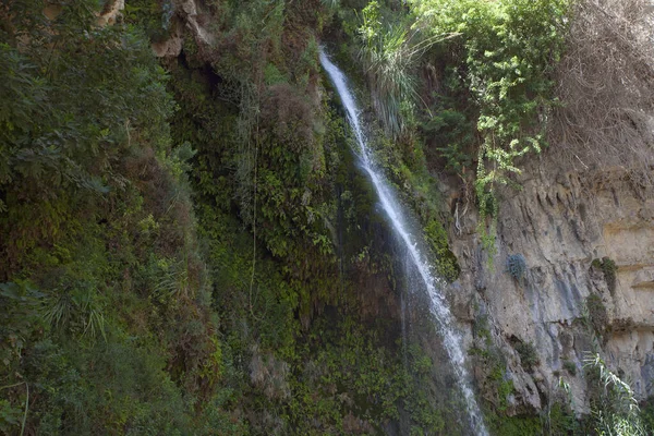 Waterfalls Rocks Ein Gedi — Stock Photo, Image