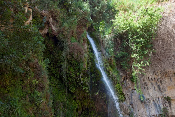 Waterfalls Rocks Ein Gedi — Stock Photo, Image