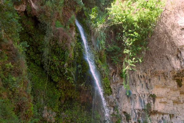 Wodospady Skały Ein Gedi — Zdjęcie stockowe