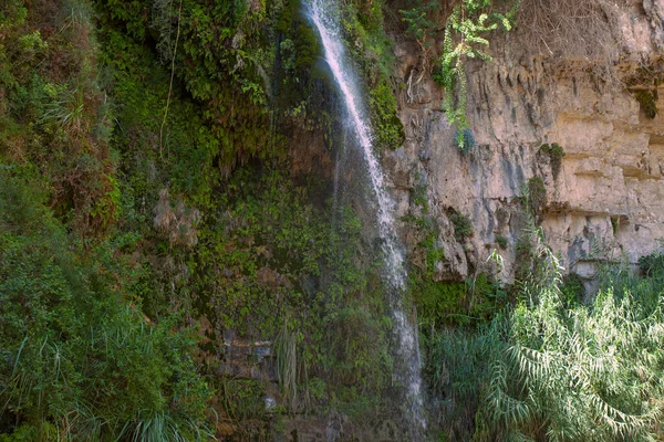 Wodospady Skały Ein Gedi — Zdjęcie stockowe