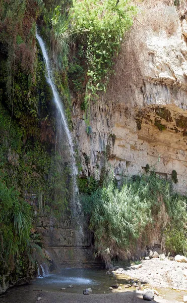 Wasserfälle Und Felsen Ein Gedi — Stockfoto