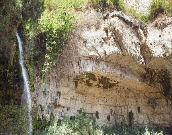 Cachoeiras Rochas Ein Gedi — Fotografia de Stock