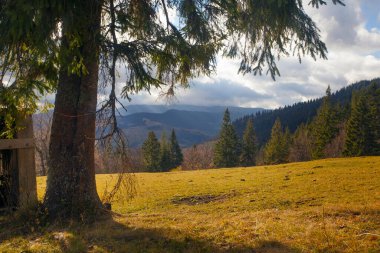 Sonbaharda Karpatlar, sonbaharda sabah manzarası, Ukrayna