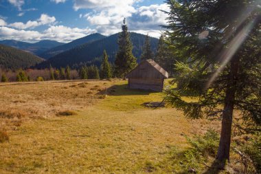 Sonbaharda Karpatlar, sonbaharda sabah manzarası, Ukrayna
